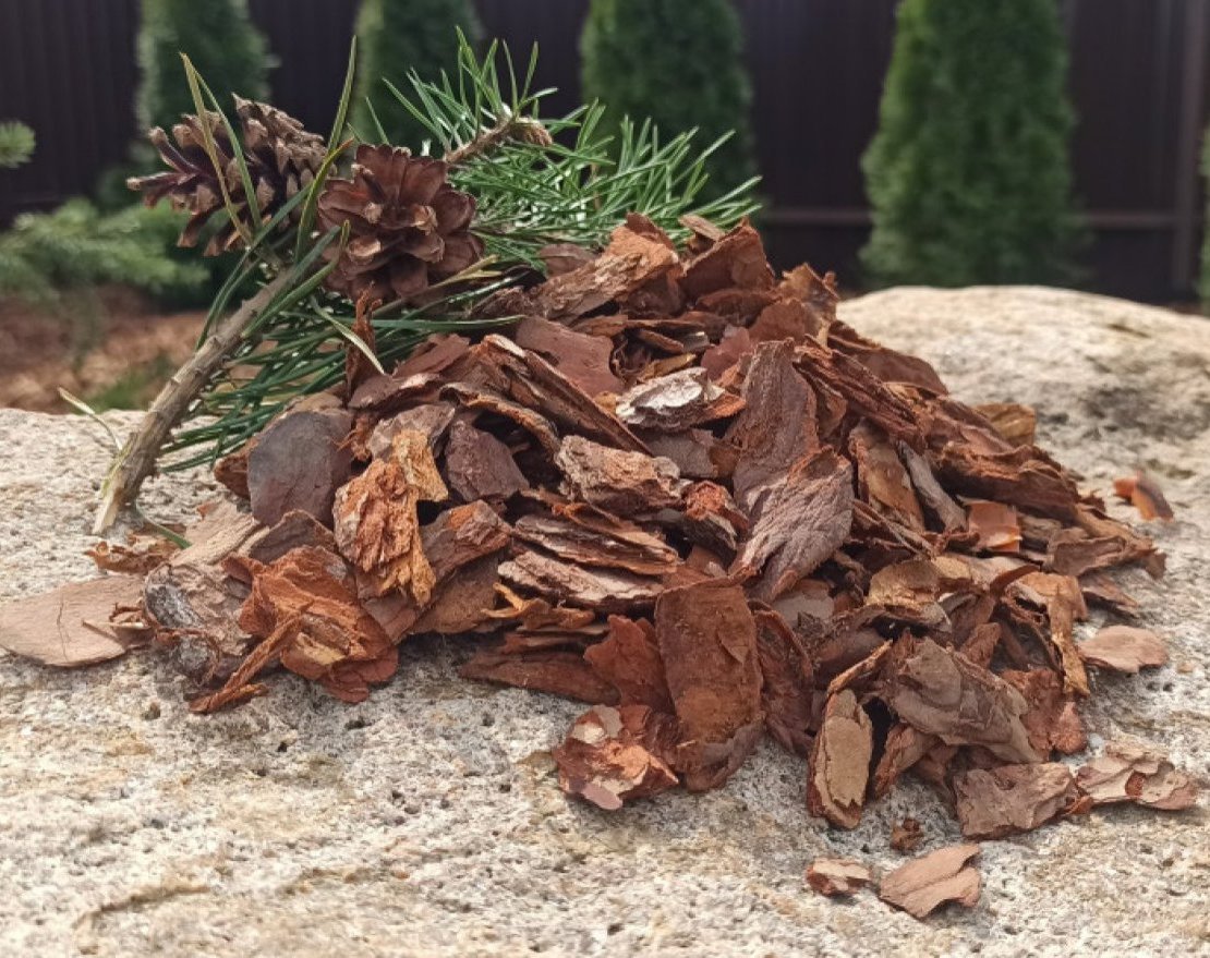 Кора сибирской лиственницы крупная 5-10 см - вид 2