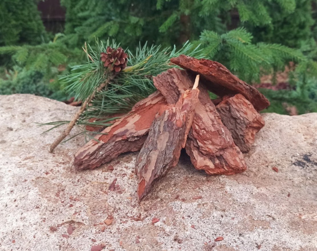 Кора сосны большая 10 см - вид 2