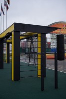 Администрация Заневского г. п., ноябрь 2025, г. п. Заневское - вид 7